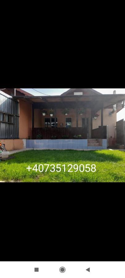 Central City House Tulcea Luaran gambar